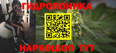 скорость Заводоуковск