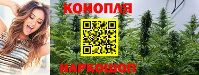 скорость Заводоуковск