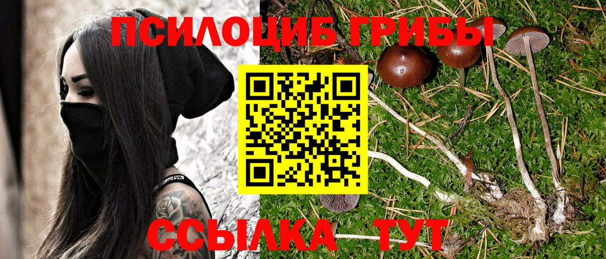 Псилоцибиновые грибы Cubensis  Псилоцибиновые грибы ЛСД  Вход с VPN  Корсаков 
