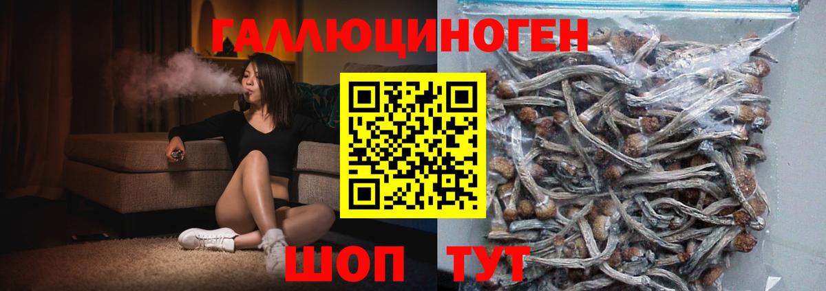 Галлюциногенные грибы Magic Shrooms Корсаков